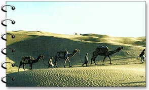 Sand Dunes, Rajasthan