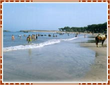 Ahmedpur Mandvi Beach Guajrat