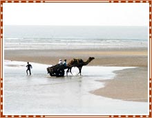 Kutch Mandvi Beach Gujarat