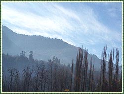 Kullu Weather