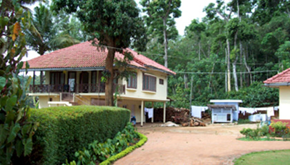 Paddy Valley Home Stay
