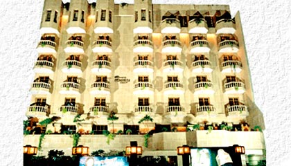 Hotel Meru Palace