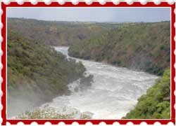 Shivasamudram Waterfalls Karnataka