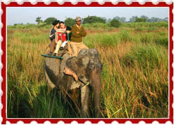 Things To Do In Kabini