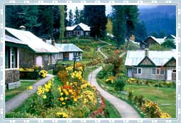 Accommodation in Kashmir 
