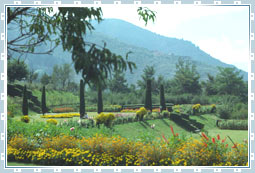 Chashmashahi Garden in Kashmir