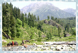 Daksum Travel  in Kashmir