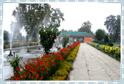 Gardens in Kashmir