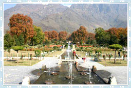 Nishat Garden in Kashmir