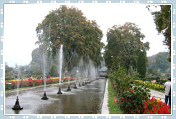 Shalimar Garden in Kashmir