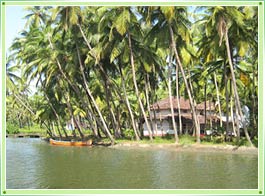 Kannur Backwater India