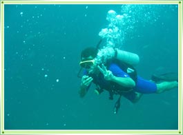 Scuba Diving in Kerala