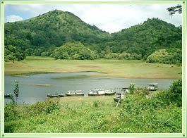 Periyar Lake Thekkady