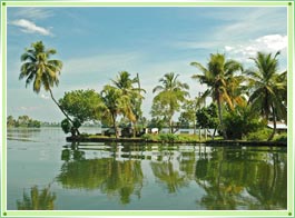 Trivandrum Backwaters