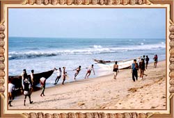 Orissa Beaches Tour