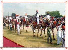 Camel Festival in Rajasthan