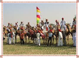 Camel Festival Rajasthan