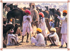 Rajasthan Fairs
