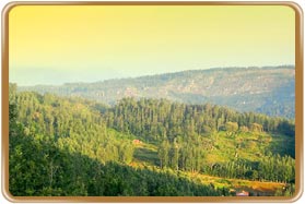 Yercaud Hill Station Tamil Nadu