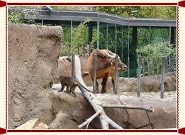 Allen Forest Zoo Kanpur