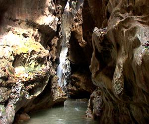 Robber’s Cave, Dehradun