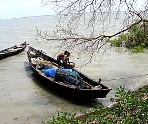 Things to do in Sunderbans