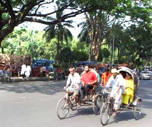 Local Transport in West Bengal
