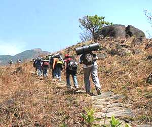 Trekking in mDarjeeling