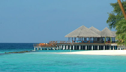 Coco Palm Bodu Hithi